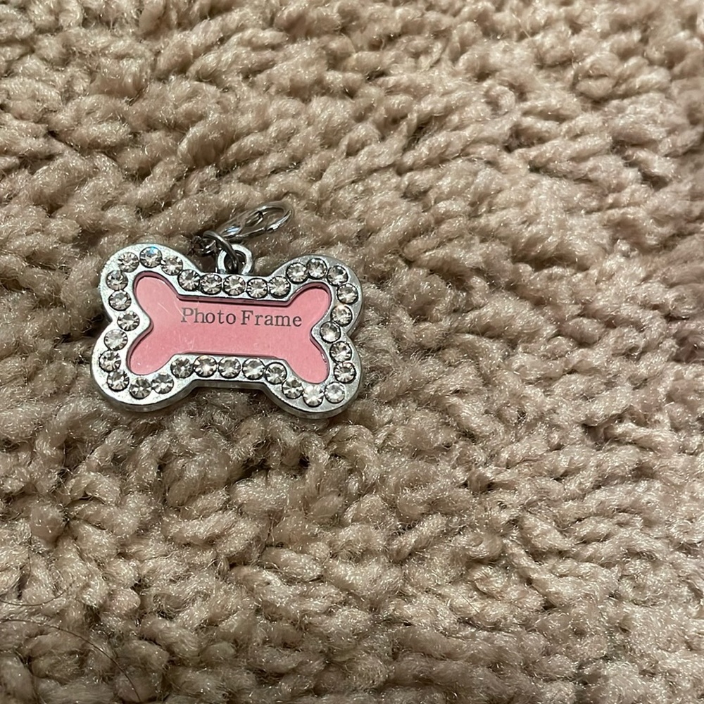 Picture ID Tag for pets